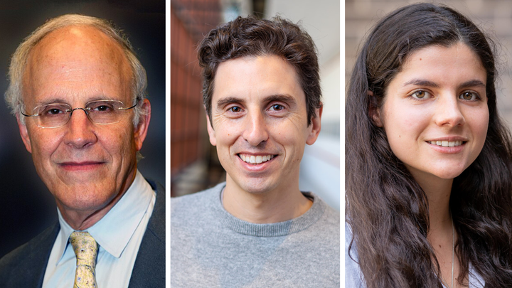 headshots of David Gross, Clay Cordova, and Carolina Figueiredo